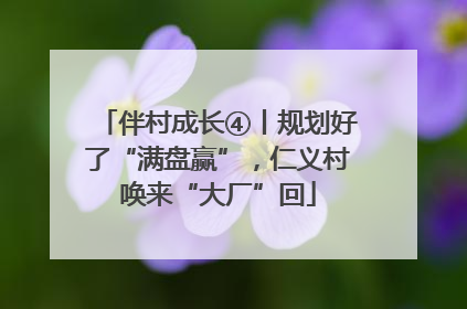 伴村成长④丨规划好了“满盘赢”，仁义村唤来“大厂”回