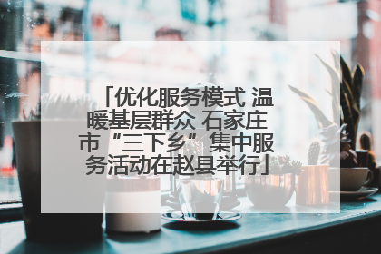优化服务模式 温暖基层群众 石家庄市“三下乡”集中服务活动在赵县举行