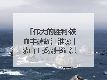伟大的胜利·铁血丰碑耀江淮⑥｜茅山工委副书记洪天诚的亲笔信