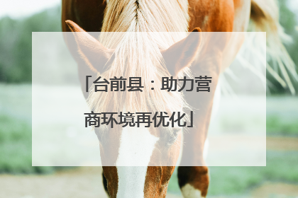 台前县：助力营商环境再优化