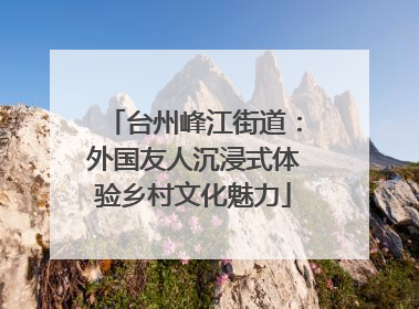 台州峰江街道：外国友人沉浸式体验乡村文化魅力