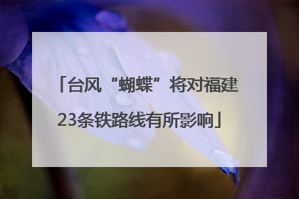 台风“蝴蝶”将对福建23条铁路线有所影响