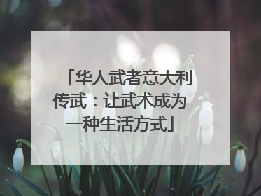 华人武者意大利传武：让武术成为一种生活方式