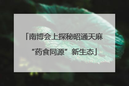 南博会上探秘昭通天麻“药食同源”新生态