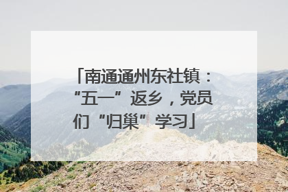 南通通州东社镇：“五一”返乡，党员们“归巢”学习