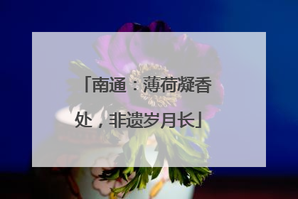 南通：薄荷凝香处，非遗岁月长