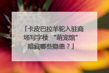 卡皮巴拉羊驼入驻商场写字楼 “萌宠馆”暗藏哪些隐患？