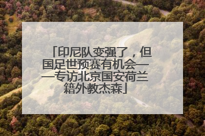 印尼队变强了，但国足世预赛有机会——专访北京国安荷兰籍外教杰森
