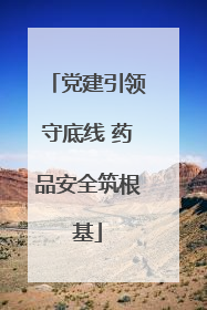 党建引领守底线 药品安全筑根基