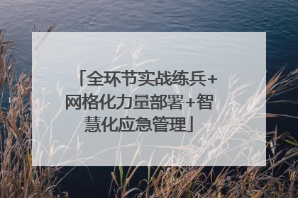 全环节实战练兵+网格化力量部署+智慧化应急管理