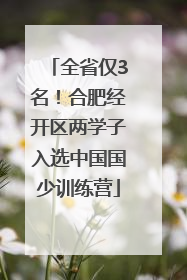 全省仅3名！合肥经开区两学子入选中国国少训练营