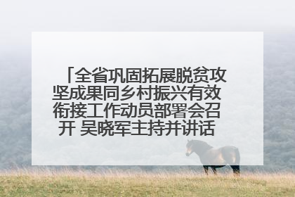 全省巩固拓展脱贫攻坚成果同乡村振兴有效衔接工作动员部署会召开 吴晓军主持并讲话 罗东川作安排部署