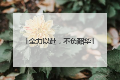 全力以赴，不负韶华