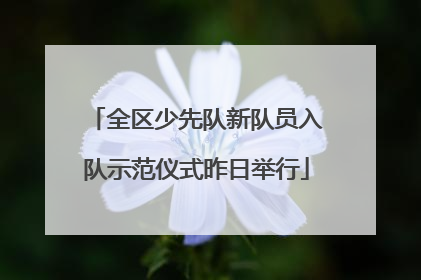 全区少先队新队员入队示范仪式昨日举行