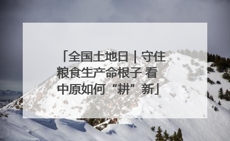 全国土地日｜守住粮食生产命根子 看中原如何“耕”新