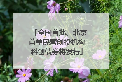 全国首批、北京首单民营创投机构科创债券将发行