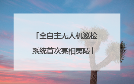 全自主无人机巡检系统首次亮相夷陵