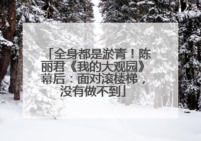 全身都是淤青!陈丽君《我的大观园》幕后:面对滚楼梯,没有做不到