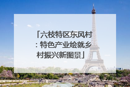 六枝特区东风村：特色产业绘就乡村振兴新图景