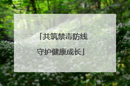 共筑禁毒防线 守护健康成长