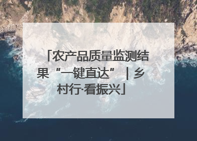 农产品质量监测结果“一键直达”｜乡村行·看振兴