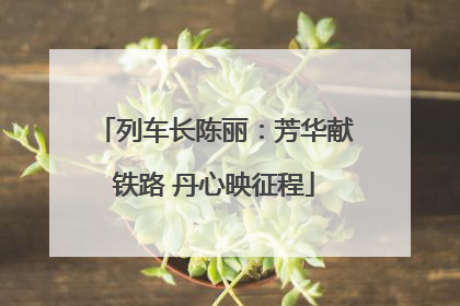 列车长陈丽：芳华献铁路 丹心映征程