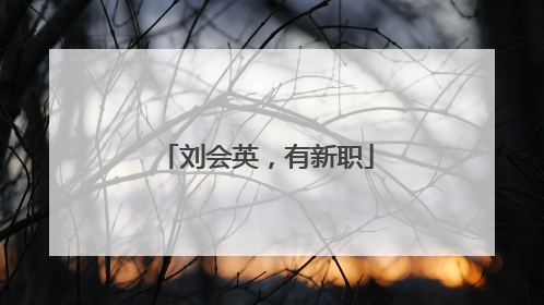 刘会英，有新职