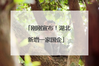 刚刚宣布！湖北新增一家国企