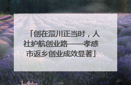 创在澴川正当时，人社护航创业路——孝感市返乡创业成效显著