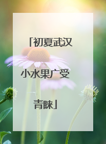 初夏武汉小水果广受青睐