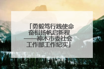 勇毅笃行践使命 奋楫扬帆启新程——神木市委社会工作部工作纪实
