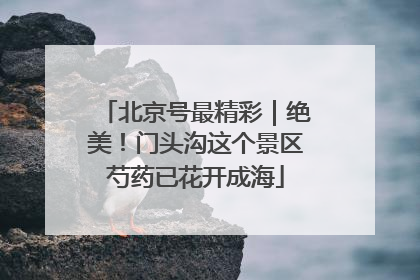 北京号最精彩｜绝美！门头沟这个景区芍药已花开成海