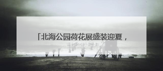 北海公园荷花展盛装迎夏，169盆珍贵碗莲同步亮相