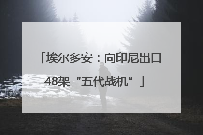 埃尔多安：向印尼出口48架“五代战机”