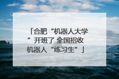 合肥“机器人大学”开班了 全国招收机器人“练习生”