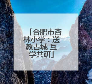 合肥市杏林小学：送教古城 互学共研