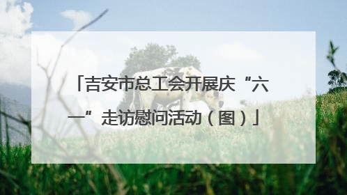 吉安市总工会开展庆“六一”走访慰问活动（图）