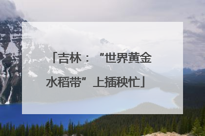 吉林：“世界黄金水稻带”上插秧忙