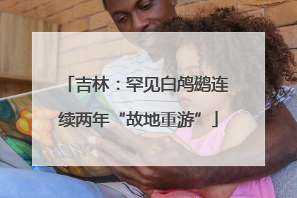吉林：罕见白鸬鹚连续两年“故地重游”