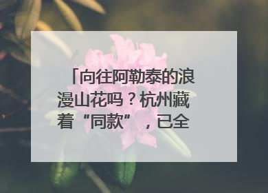 向往阿勒泰的浪漫山花吗？杭州藏着“同款”，已全面进入盛花期