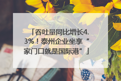 吞吐量同比增长4.3%！泰州企业坐享“家门口就是国际港”