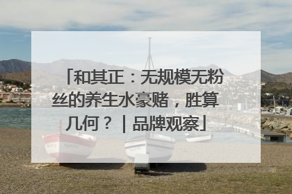 和其正：无规模无粉丝的养生水豪赌，胜算几何？｜品牌观察