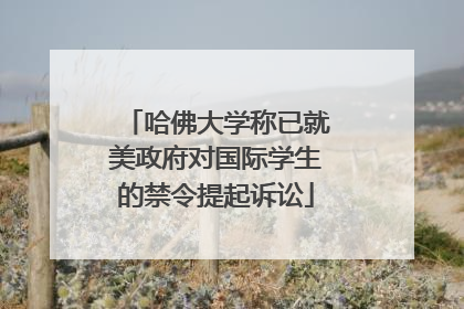 哈佛大学称已就美政府对国际学生的禁令提起诉讼