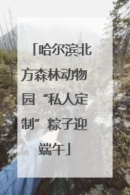 哈尔滨北方森林动物园“私人定制”粽子迎端午