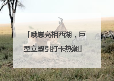 哦崽亮相西湖，巨型立塑引打卡热潮