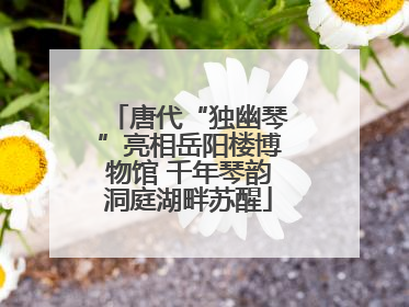 唐代“独幽琴”亮相岳阳楼博物馆 千年琴韵洞庭湖畔苏醒