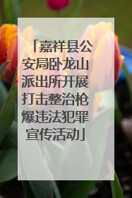 嘉祥县公安局卧龙山派出所开展打击整治枪爆违法犯罪宣传活动