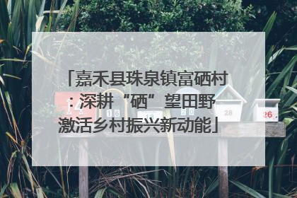 嘉禾县珠泉镇富硒村：深耕“硒”望田野 激活乡村振兴新动能