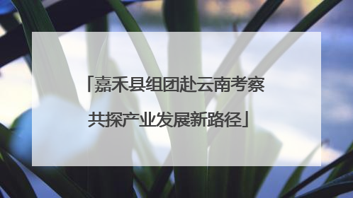 嘉禾县组团赴云南考察 共探产业发展新路径