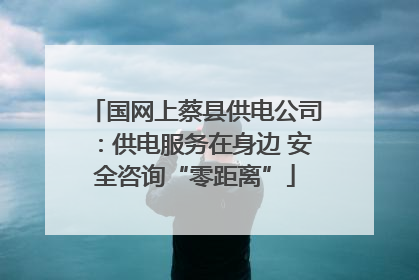 国网上蔡县供电公司：供电服务在身边 安全咨询“零距离”